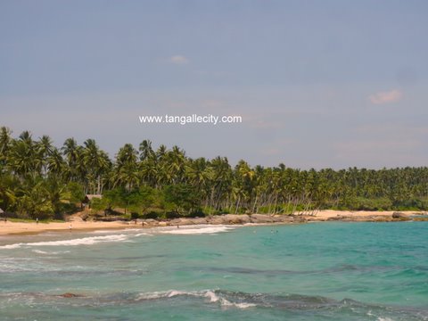 Tangalle Coconut land for sale/rent