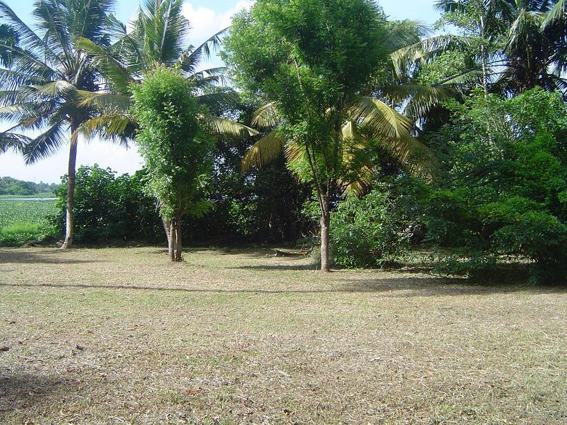 Moratuwa Land with house for sale/rent