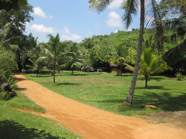 Kalutara Beachfront land for sale/rent
