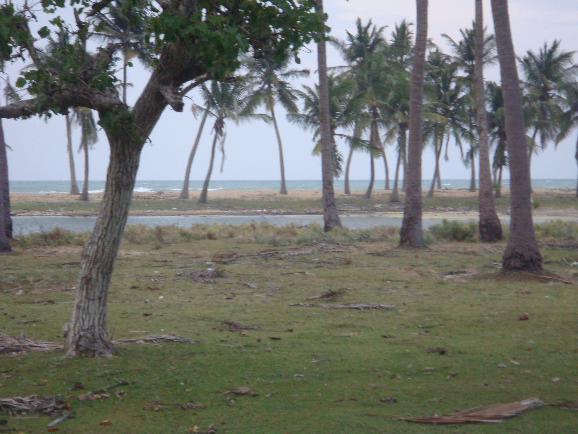 Kadakkuliya Coconut land for sale/rent