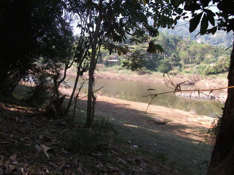 Lewella Bare Land for sale/rent