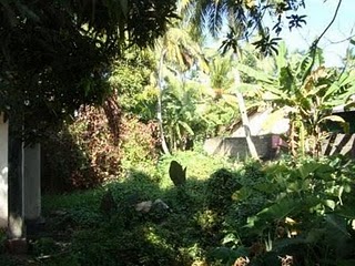 Kalutara Bare Land for sale/rent