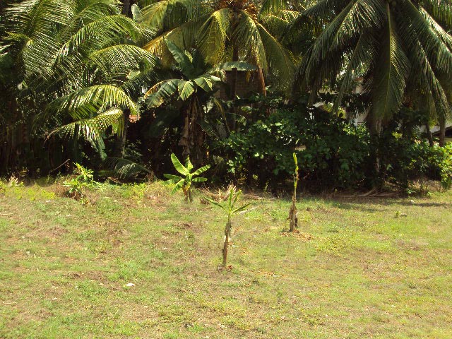 Ambalangoda Bare Land for sale/rent