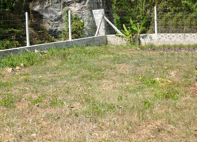 Gampaha Bare Land for sale/rent