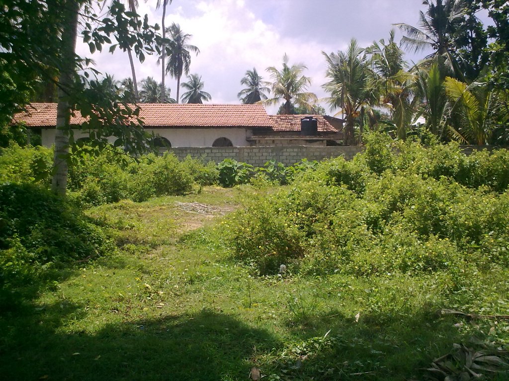 Dalupotha Bare Land for sale/rent