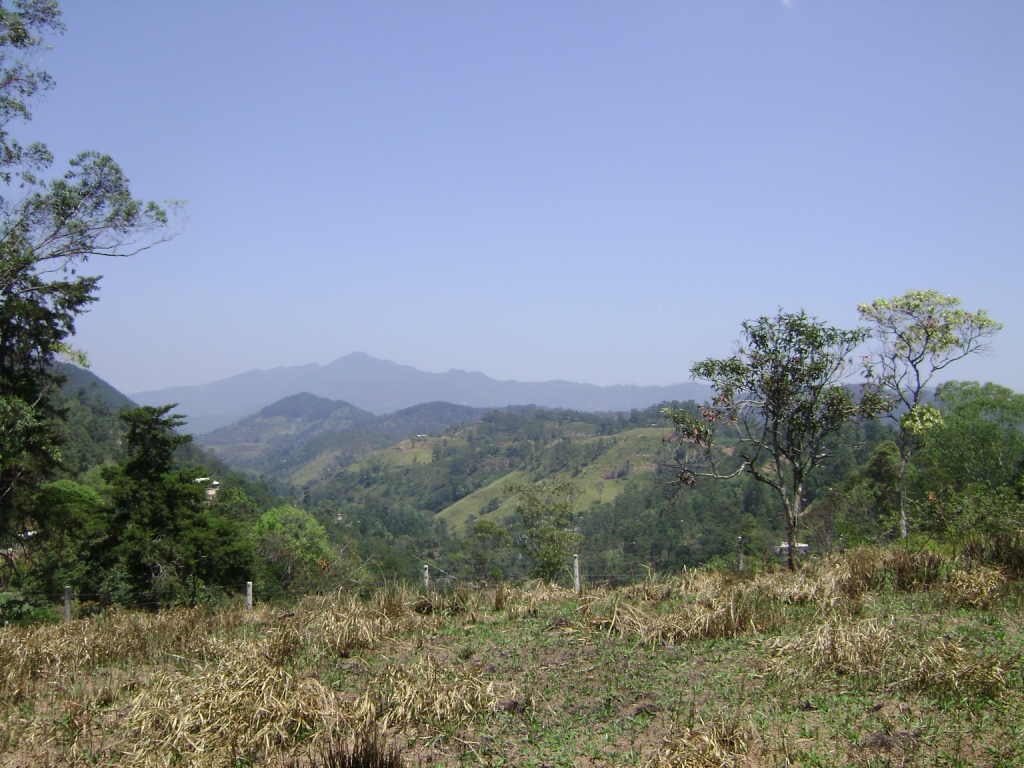 Bandarawela Bare Land for sale/rent