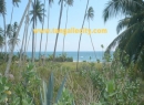 Tangalle Coconut land for sale/rent