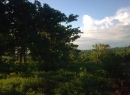 Matara Bare Land for sale/rent