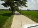 Weeraketiya Coconut land for sale/rent