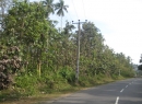 Dambulla Bare Land for sale/rent