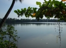 Moratuwa Bare Land for sale/rent