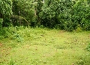 Kaduwela Bare Land for sale/rent