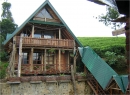 Nuwara Eliya Bungalow for sale/rent