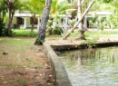 Bentota Beachfront land for sale/rent