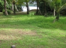 Bentota Bare Land for sale/rent