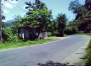 Kithulgala Land with house for sale/rent