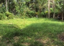 Kaduwela Bare Land for sale/rent