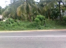 Kurunegala Bare Land for sale/rent