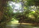 Matale Coconut land for sale/rent