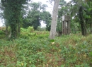 Colombo 9 Bare Land for sale/rent