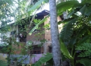 Weligama House for sale/rent