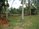 Thalangama Bare Land for sale/rent