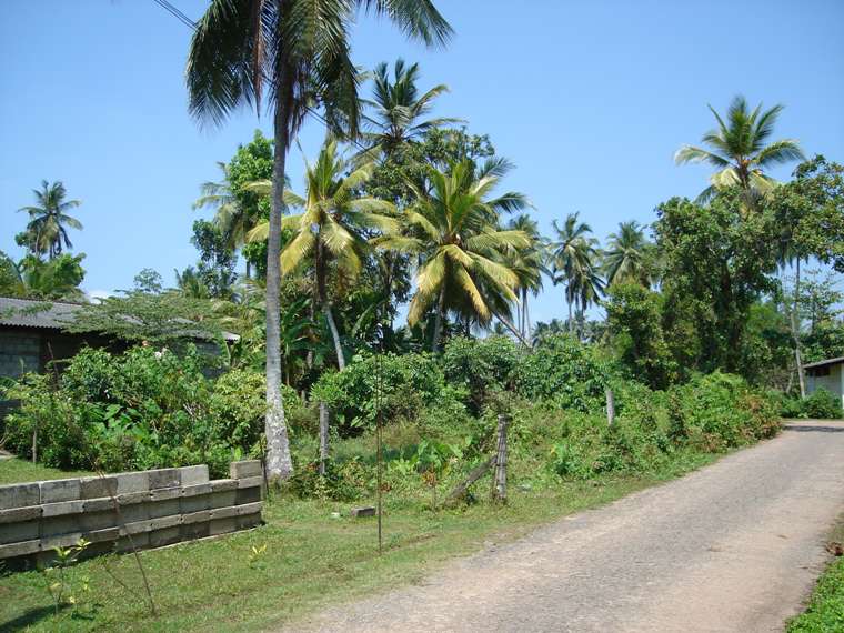 Panadura Land for sale