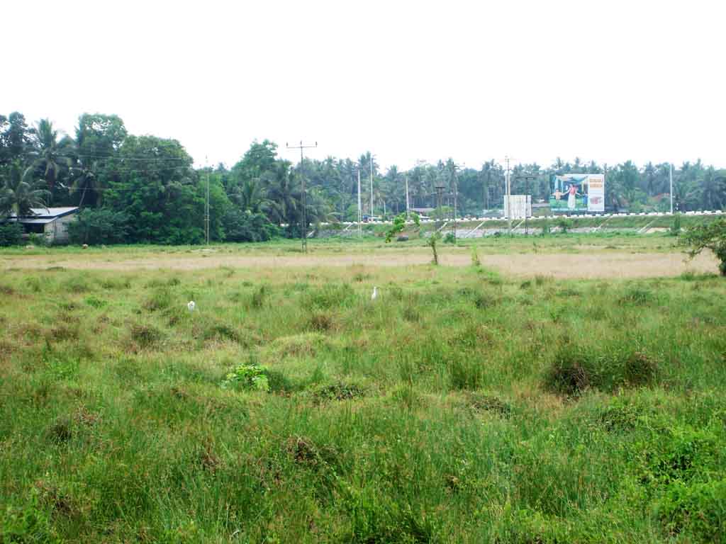 Gampaha Land for sale