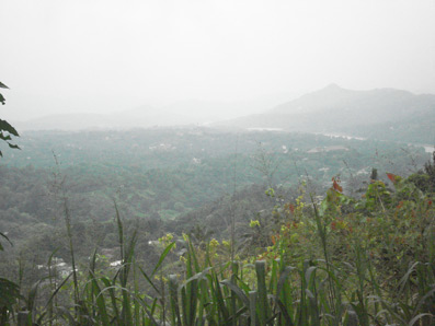 Kandy Land for sale