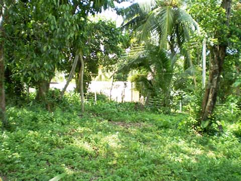 Yakkala Land for sale