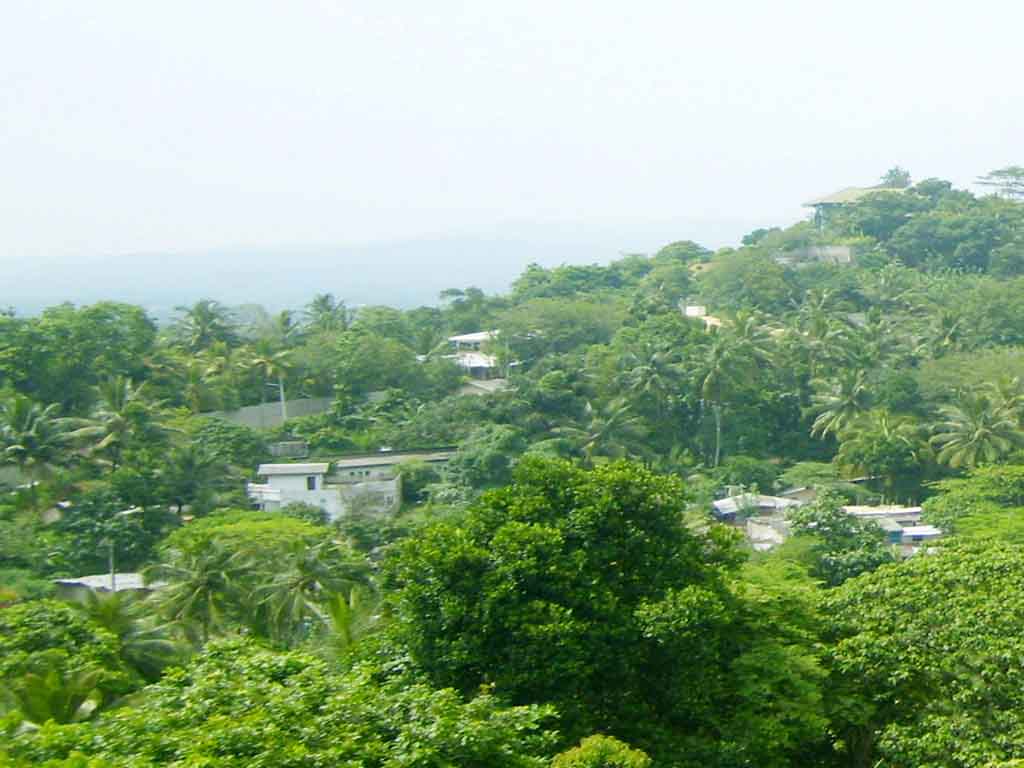 Kandy House for sale