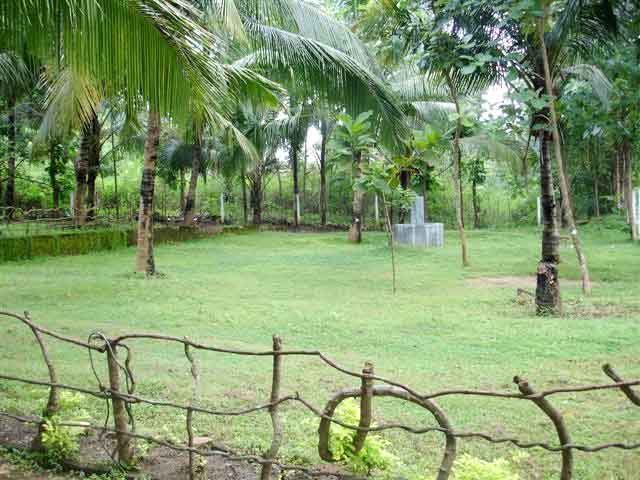 Moneragala House for sale/rent