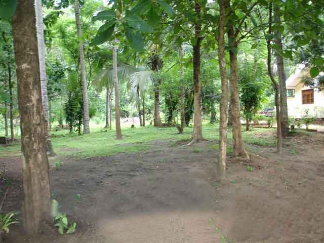 Moneragala House for sale