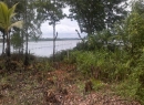 Piliyandala Bare Land for sale/rent