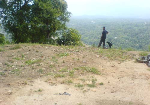 Kandy Land for sale/rent