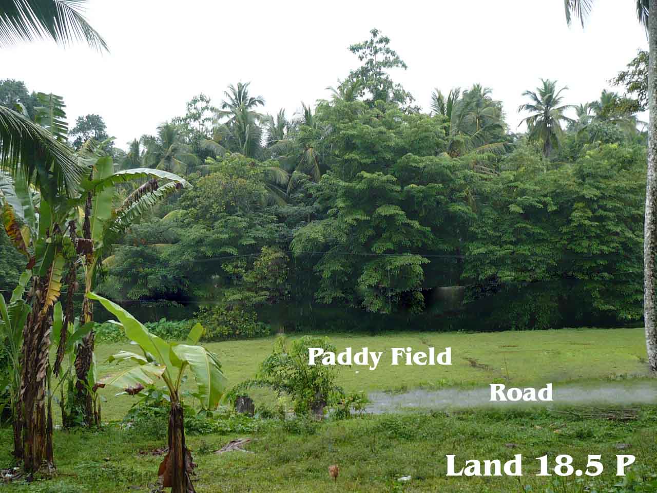 Gampaha Land for sale/rent
