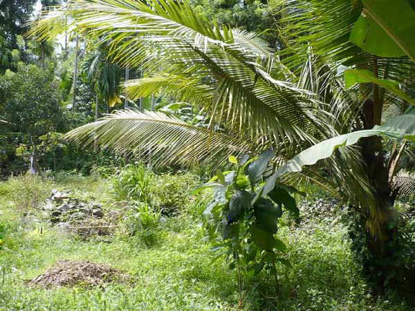 Kirillawala Land for sale/rent