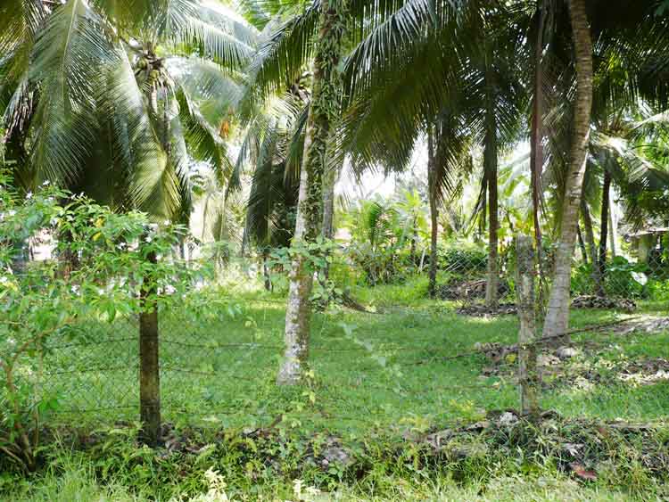 Gampaha Land for sale/rent