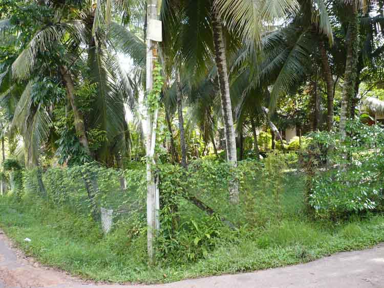 Gampaha Land for sale