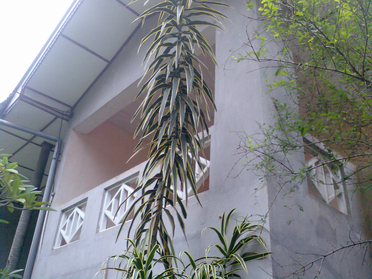 Maharagama Annexe for sale/rent