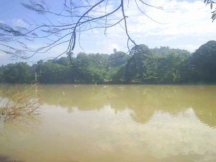 Kandy House for sale
