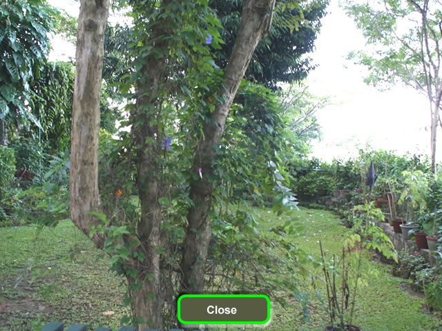 Peradeniya Land for sale/rent