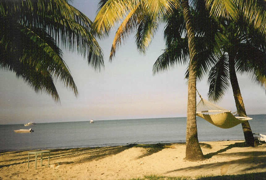 Ahungala Land for sale/rent
