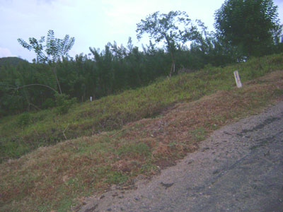 Kandy Land for sale