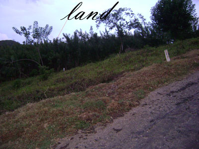Kandy Land for sale