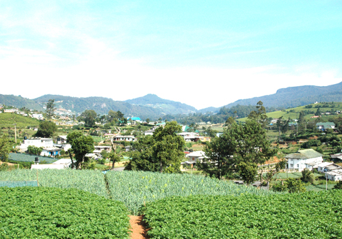 Nuwara Eliya Land for sale