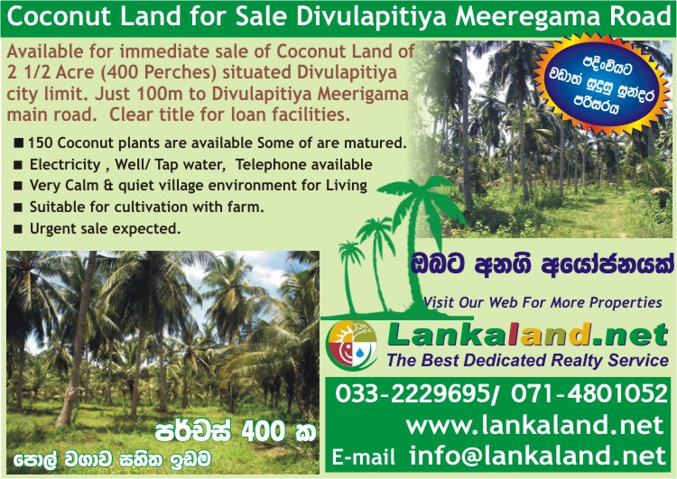 Divulapitiya Land for sale/rent