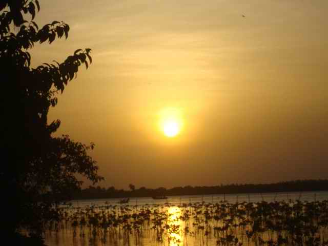 Kalpitiya Coconut land for sale/rent