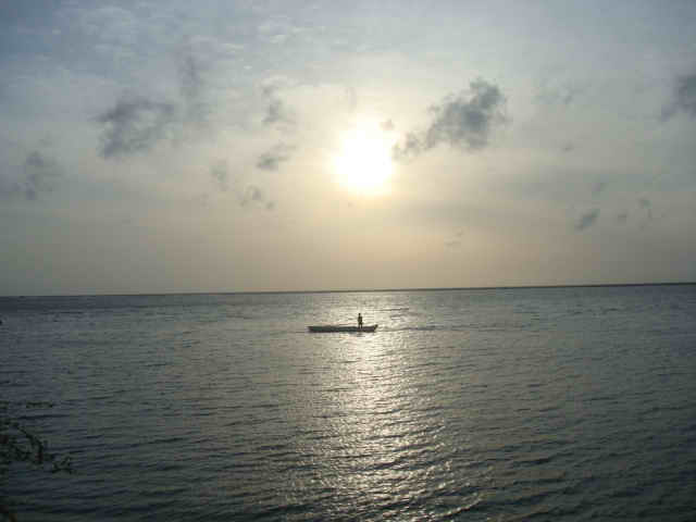 Kalpitiya Coconut land for sale/rent