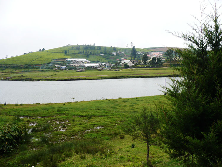 Nuwara Eliya House for sale